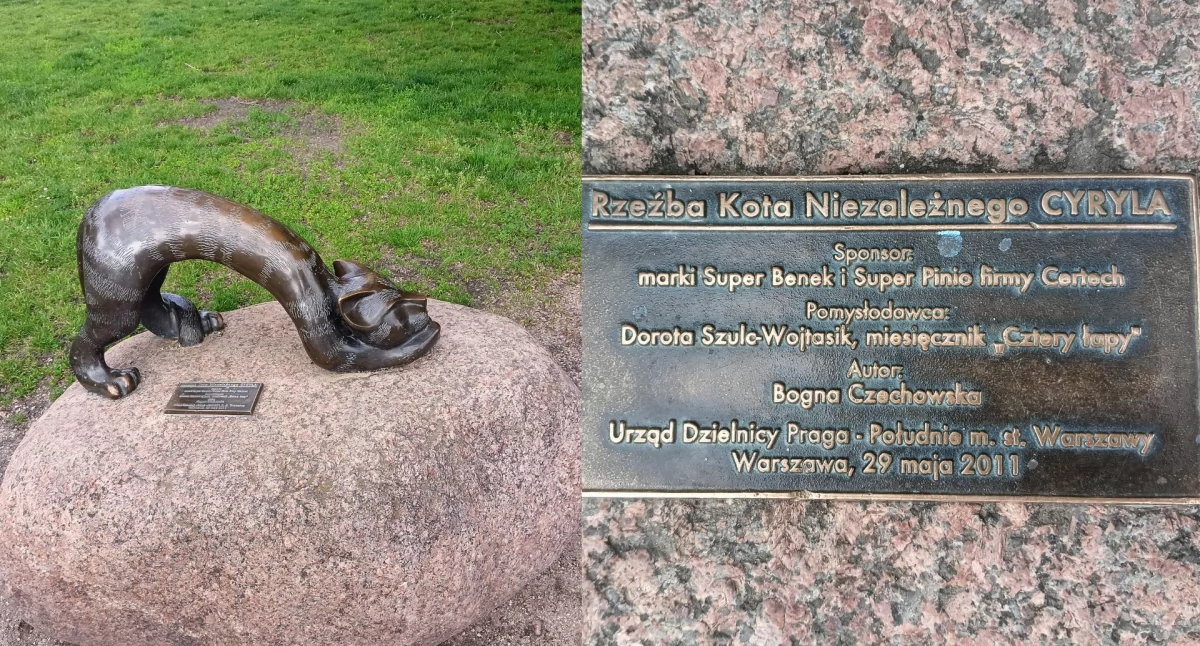 Zna go każdy mieszkaniec. Kot Cyryl kończy 14 lat!