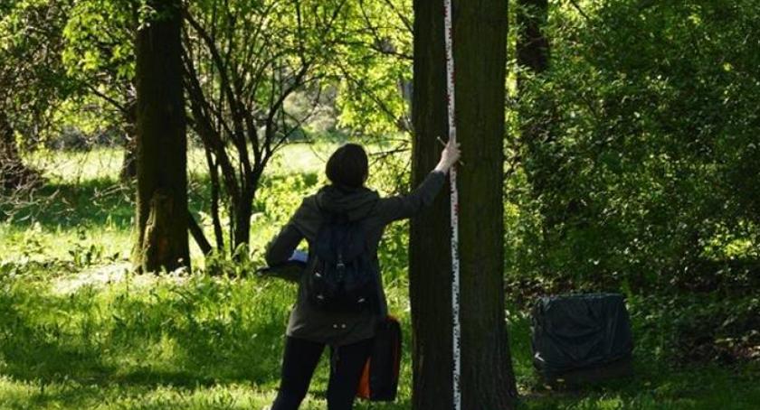Arboryści w Parku Skaryszewskim