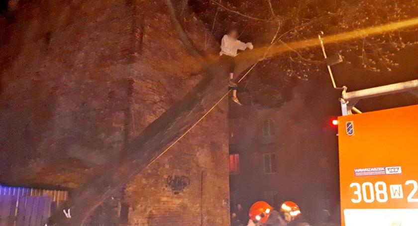 Dziecko na drzewie - nietypowa interwencja strażaków [ZDJĘCIA]