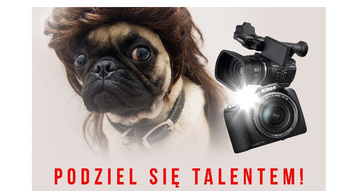 Fotograf zwierząt poszukiwany!