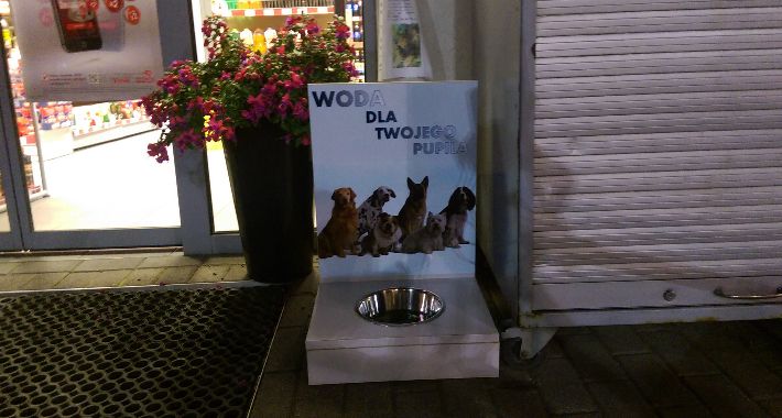 Miska z wodą dla psów na stacjach