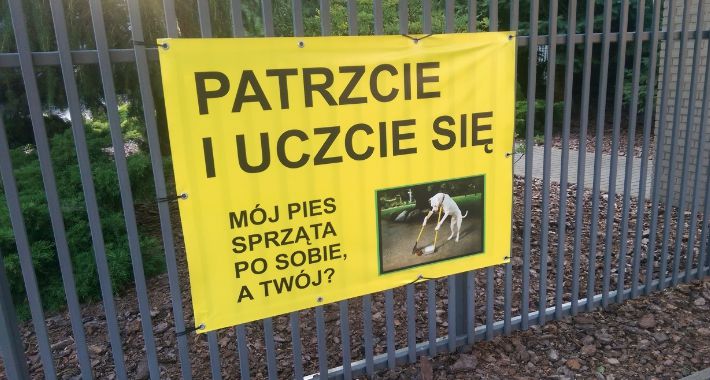 Na Grochowie psy sprzątają po sobie!