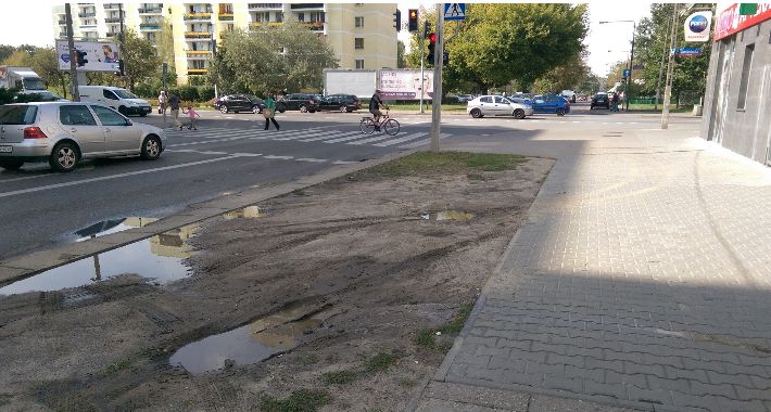 Czy tak musi wyglądać zieleń na Grochowie?