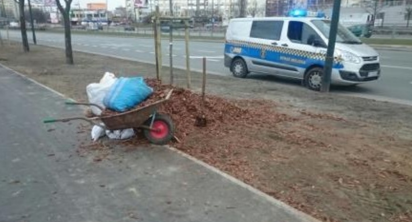 Strażnicy miejscy złapali złodziei... kory drzewnej przy Al. Stanów Zjednoczonych