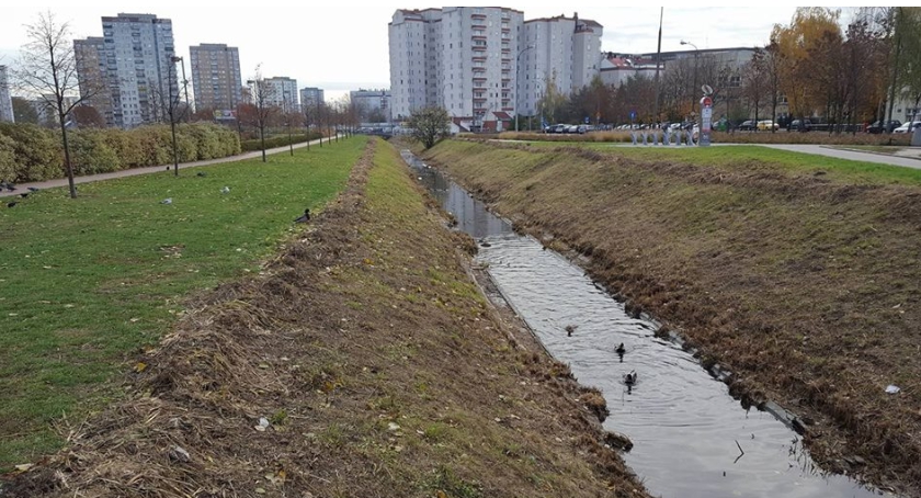 ZMiUW wykosił Kanałek Gocławski