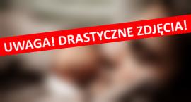 Identyfikacja zwłok mężczyzny po wypadku na Moście Łazienkowskim