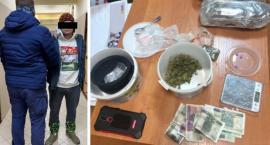 Sprzedawał narkotyki w piwnicy. Odnaleziono ponad 700 gram narkotyków [ZDJĘCIA]