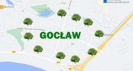 Będzie ponad 200 drzew na tzw. obwodnicy Gocławia
