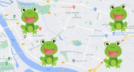 Co najczęściej kupują mieszkańcy Pragi Południe w Żabce?
