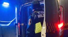 Pijani nieletni nieśli znak drogowy. Próbowali uciec przed strażnikami