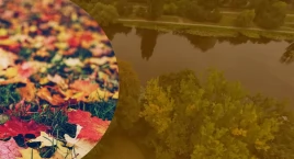 Tu jesień pachnie liśćmi i kawą. Miejsca do spacerow…