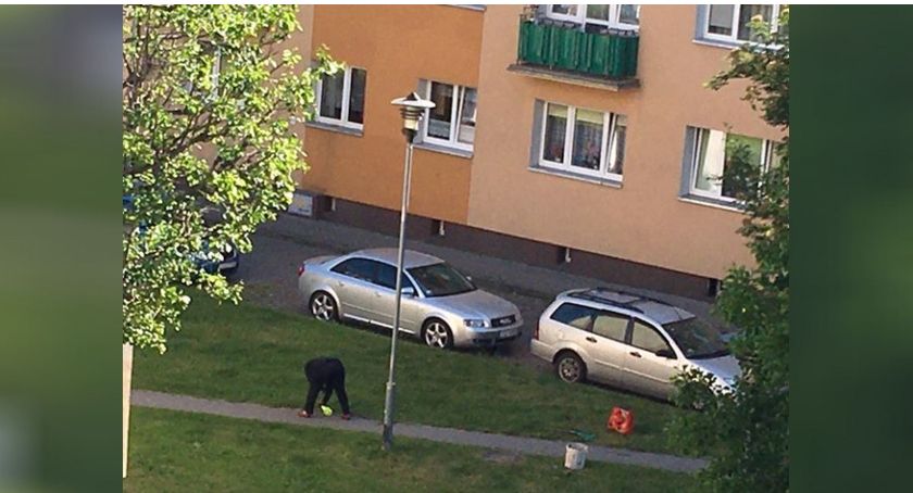 Pryskają trawniki, czy nie? Czytelniczka: To środek rakotwórczy!
