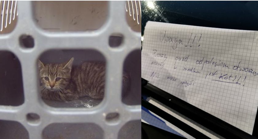 Chował się pod maską samochodu. Chciało mu pomóc pół miasta!