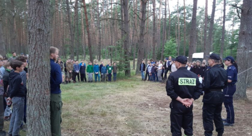 Kontrole obozów, osy i powalone drzewa. Strażacki tydzień