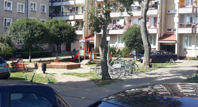 Dzieci, samochody i psy. Czy tak ma wyglądać plac zabaw?