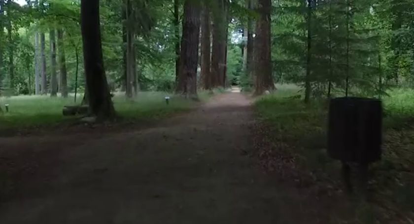 L - jak „Las”. Obiekty turystyczne na terenie RDLP w Szczecinku