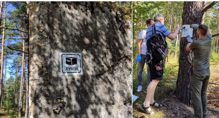 „Po bunkrach poligonu Gross Born”. Pieszo-rowerowy szlak historyczny czeka na otwarcie