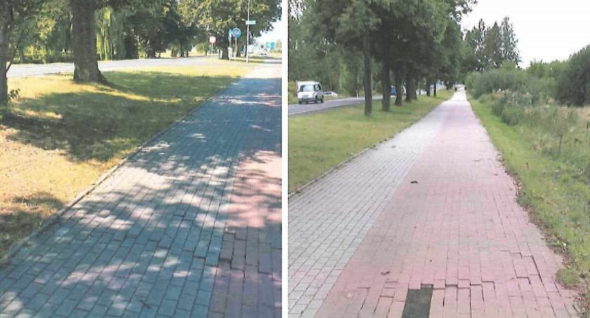 Czy drzewa na ul. Narutowicza pójdą pod topór?