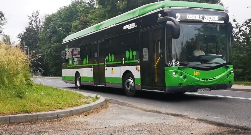 Praca dla kierowcy autobusu, diagnosty, kasjerki. Aktualne oferty pracy