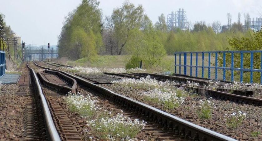 Mniej pociągów do Koszalina czy Szczecina. Marszałek szuka oszczędności