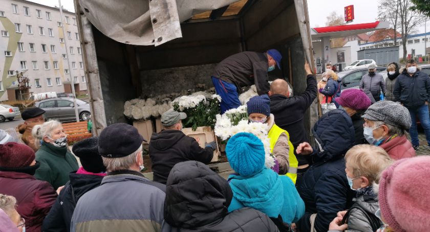 W Szczecinku chryzantemy za darmo, więc brali wszyscy