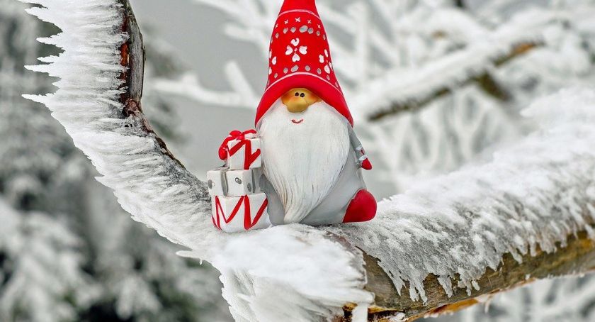 Zamów najbliższym kwiaty i prezenty na Mikołajki