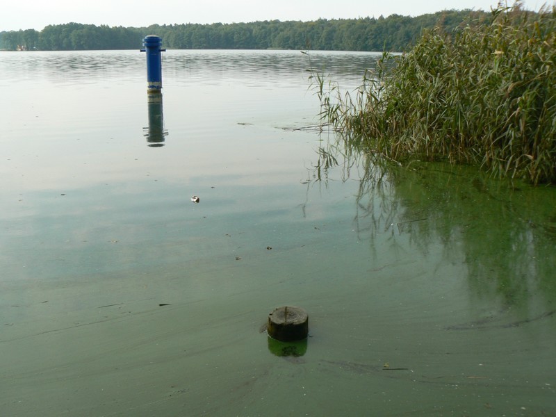 Sanepid: Zamykamy plaże oprócz Mysiej Wyspy
