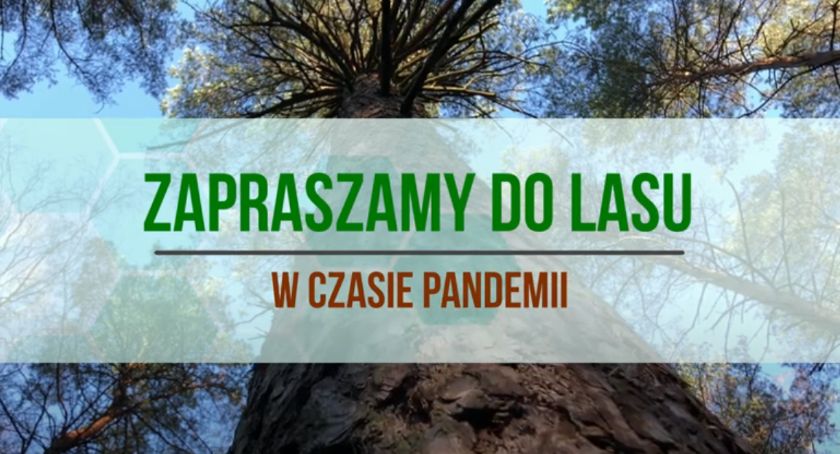 Poradnik leśników: Jak być bezpiecznym w lesie w czasie pandemii?