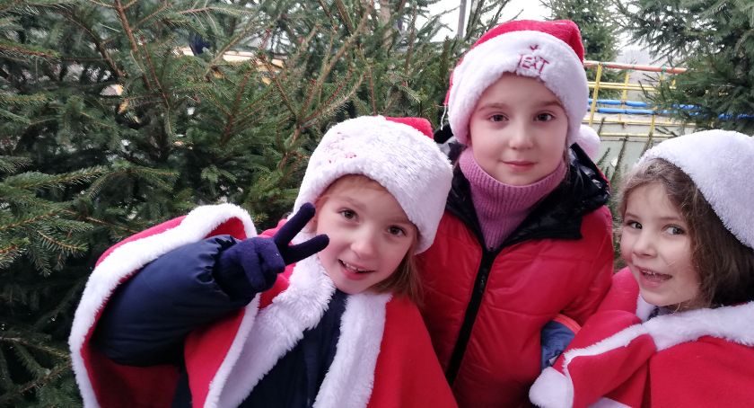 „Sówki” wybierały świąteczne drzewko