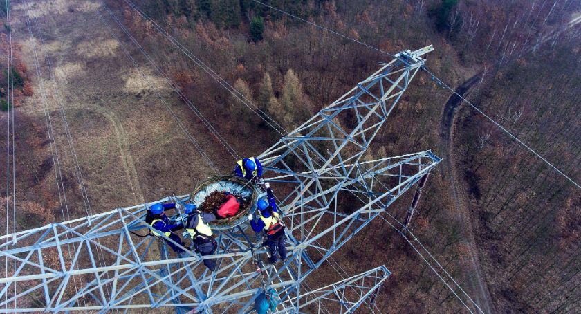 PSE i Lasy Państwowe ponownie zadbają o bezpieczeństwo rybołowów