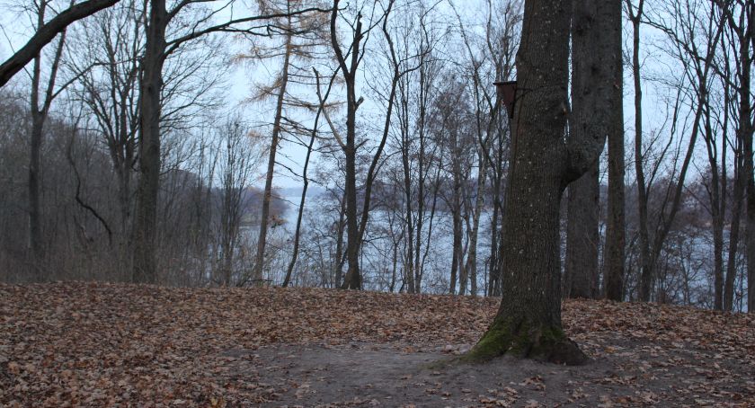665. rocznica ufundowania klasztoru Marientron. Wzgórze wciąż czeka na odkrycie swoich tajemnic