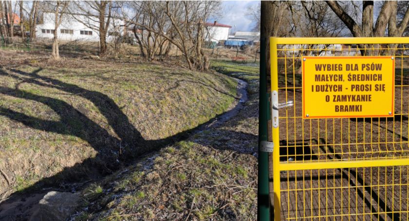 Czytelniczka o wybiegu na ul. Wodociągowej: Psy piją brudną wodę i nie chcą wyjść z rowu
