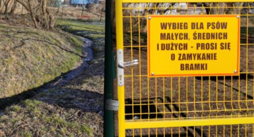 Psy pobiegają swobodnie koło „Ślusarni