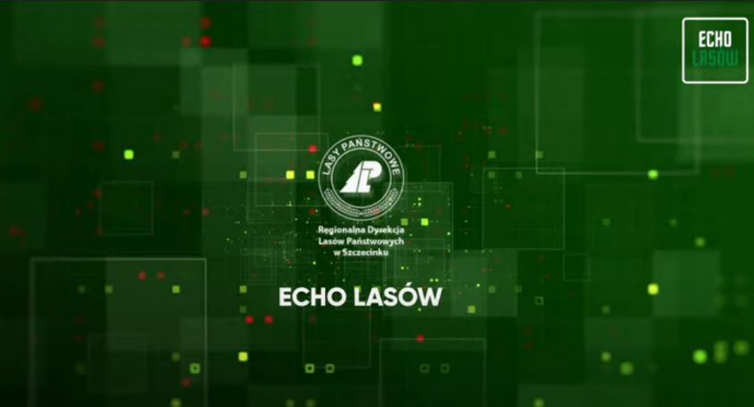 „Echo Lasów”. Alarm bombowy i drony w lasach