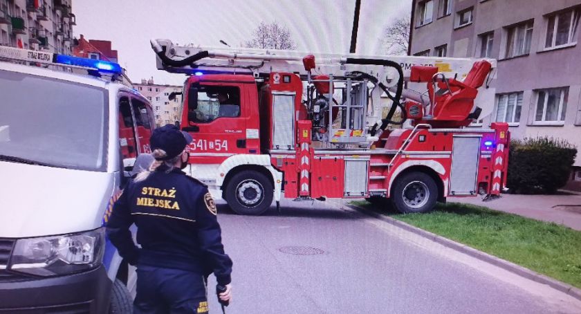 Kot w oknie na czwartym piętrze. Interwencja strażaków