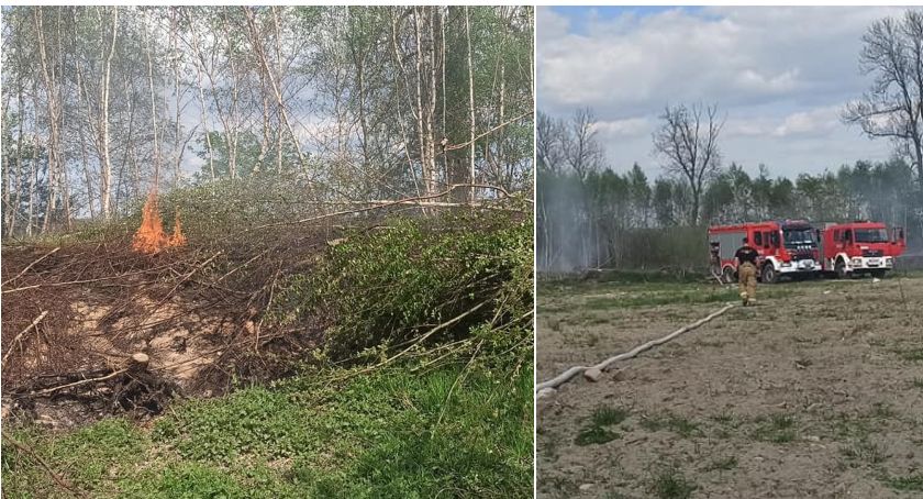 Wiatr łamał gałęzie, płonęły trawy i torfowisko. Szczecineccy strażacy w akcji