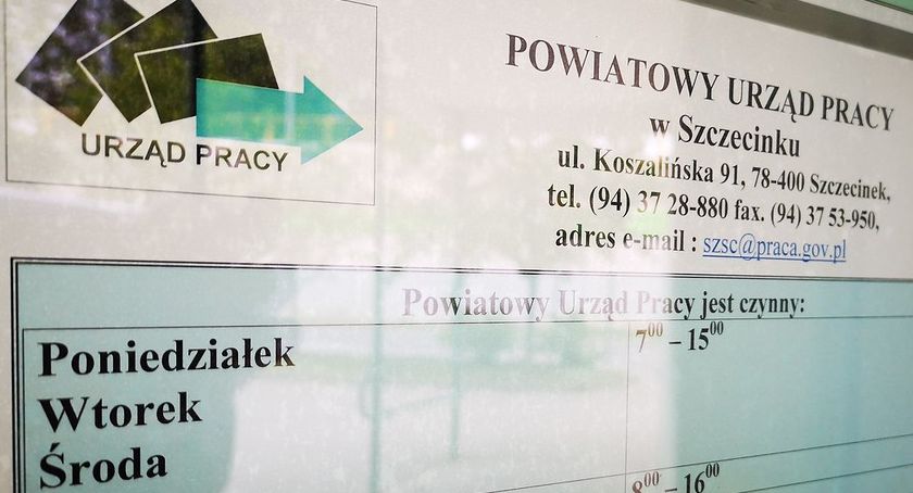 Gospodyni domowa, brakarka, dojarz, elektryk, kasjer, kierowca. Oferty pracy w Szczecinku