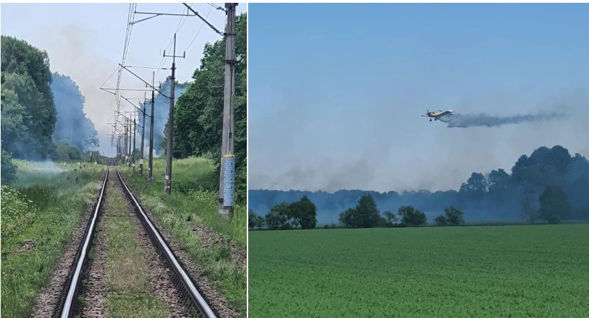 Ogromny pożar w okolicach Grzmiącej. Kilkanaście zastępów straży pożarnej w akcji