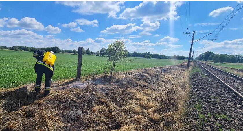 W ogniu trawy, samochody, lokomotywa, śmietnik i altanka. Tydzień pod znakiem pożarów