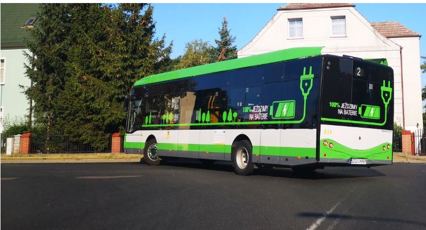 Kierowcy na urlopach zdrowotnych, więc autobusy nie jeżdżą