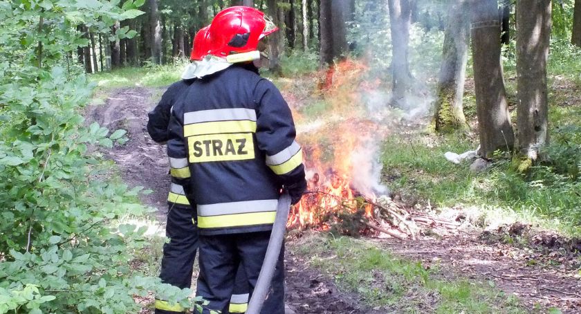 Pszczoły, osy, połamane drzewa i zalania. Strażacki tydzień