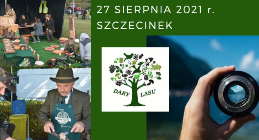„Dary Lasu”. Leśnicy zapraszają do udziału w konkursie fotograficznym