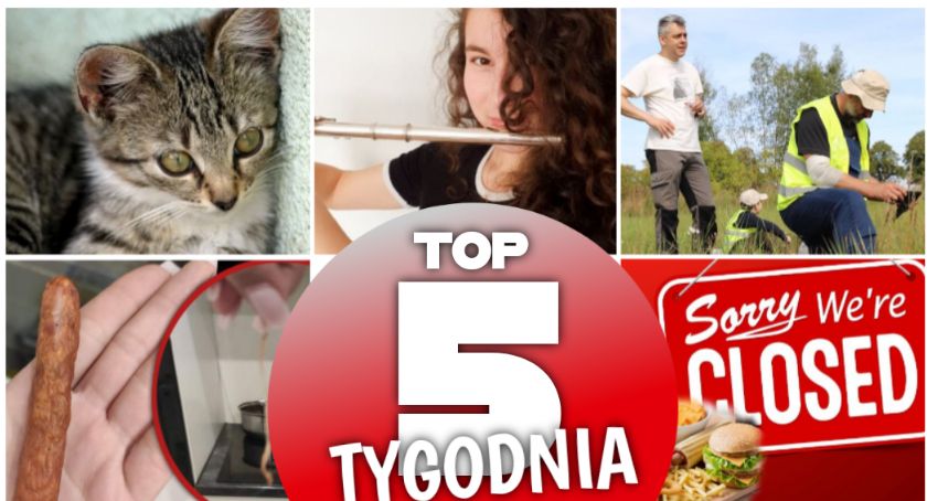 TOP 5 najchętniej czytanych artykułów tygodnia