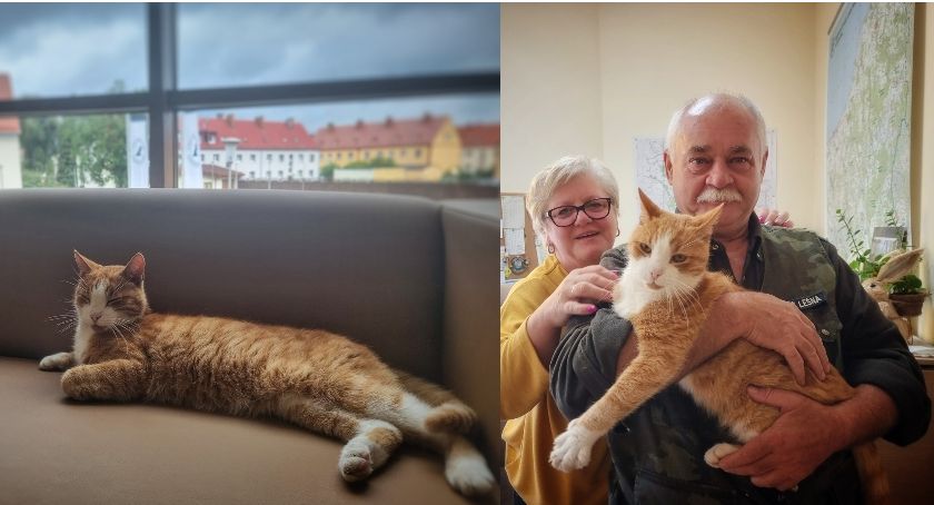 Maciek, czyli miły kot, który wybiera sobie ludzi. Lubi też leśników