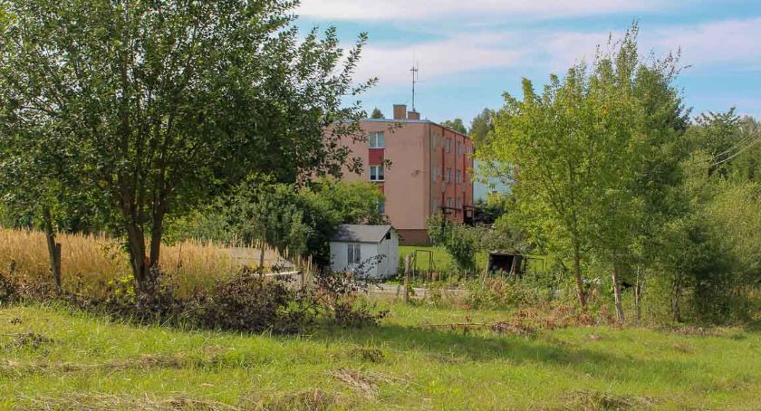 Ogródki na Świątkach do likwidacji. Są używane bez umowy