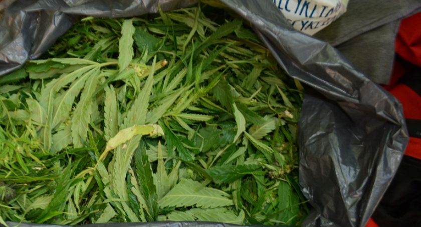 Nie będzie palenia. 2,5 kg konopi indyjskich w domku dla dzieci