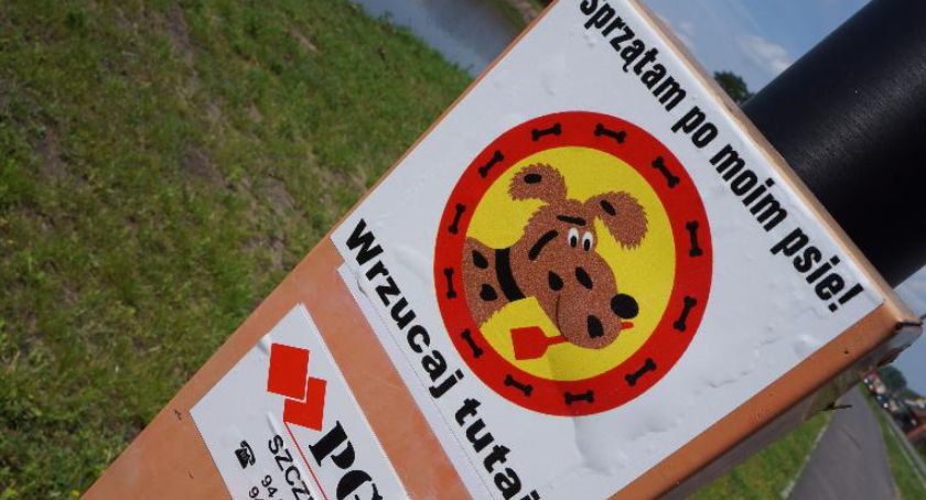 Czytelniczka o pojemnikach na psie odchody: Nie ma gdzie wyrzucać tych woreczków