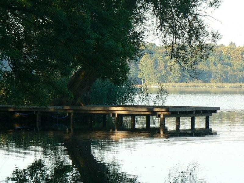 Park „przedłużony” do połowy grudnia. Aneks z wykonawcą
