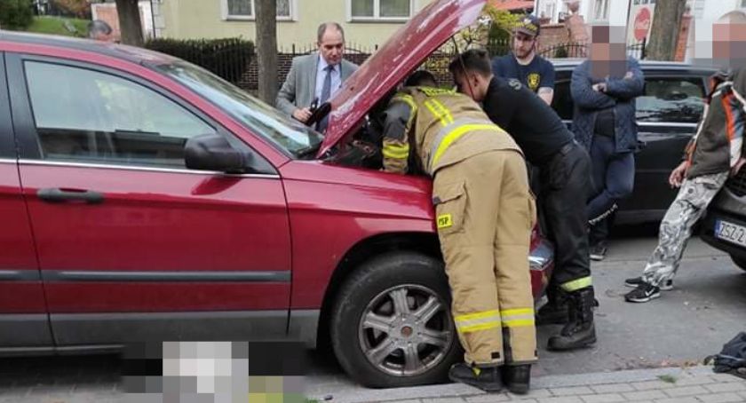 Uwięzione kocię, pożar lasu i wypadki. Szczecineccy strażacy w akcji