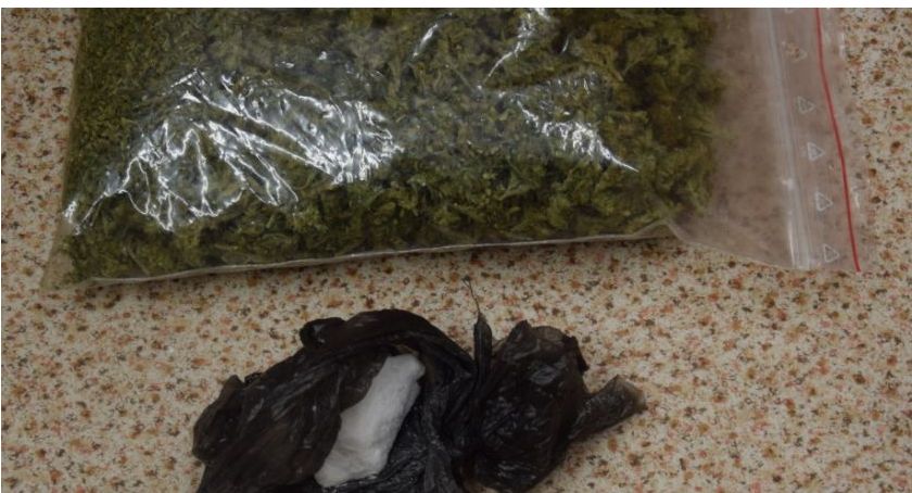 Z ilością trochę przesadził. Plantacja konopi w Barwicach - zlikwidowana